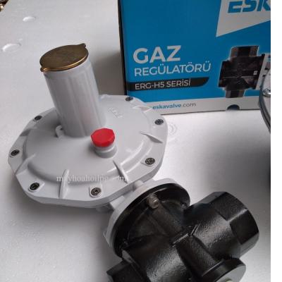 VAN ĐIỀU ÁP CẤP 1 ESKA 300 kg/h